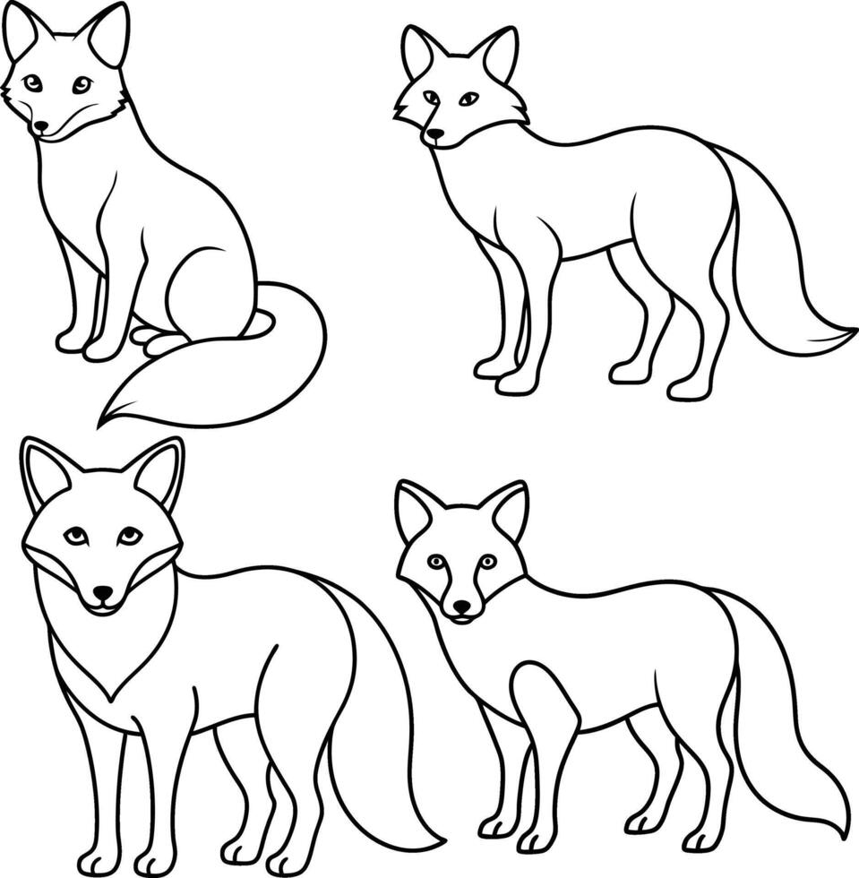 The Jungle Fox outline or sketch or line art illustration with its bushy tail wrapped around, drawn with sleek and sharp lines on a white background. vector