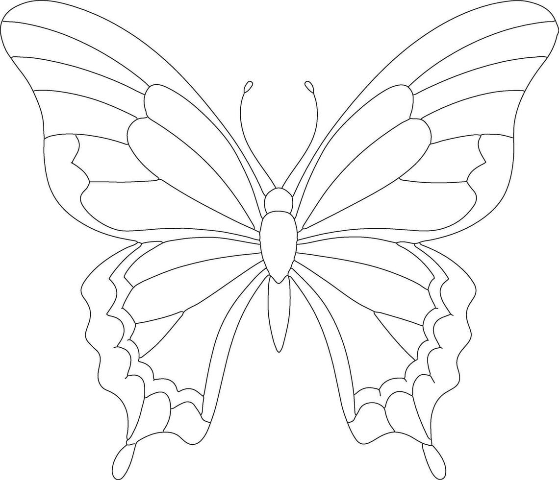 Butterfly outline or line art illustration, wings spread in symmetrical patterns, drawn with light and intricate lines on a white background. vector
