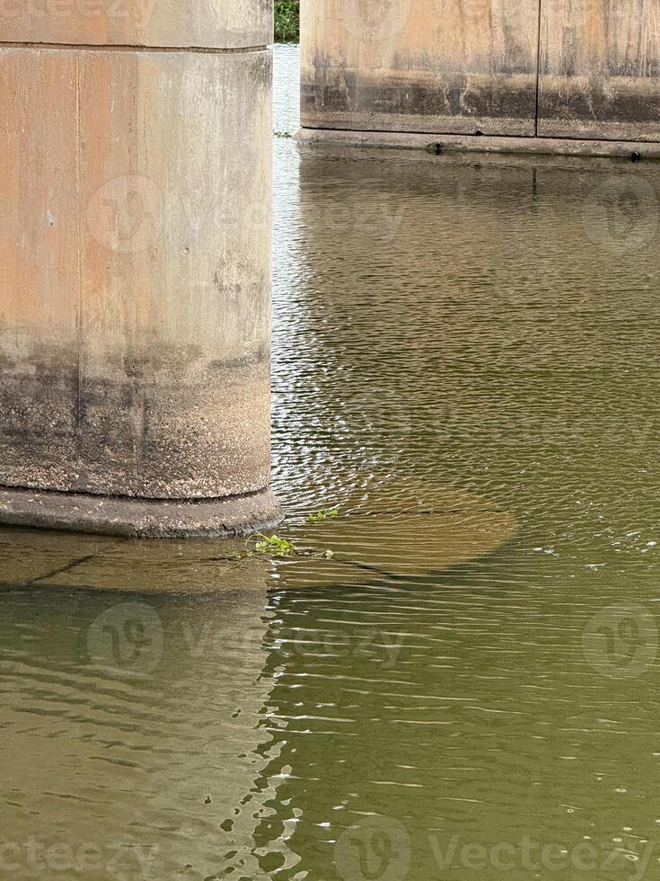 water drops on the river photo