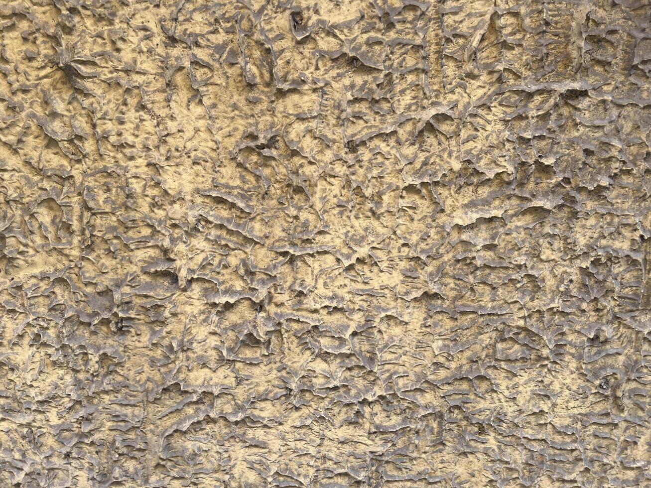 old grunge cement wall textures. perfect wall background photo