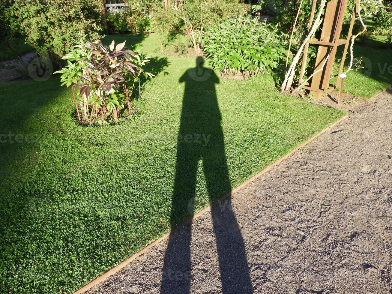 grow with your plants photo