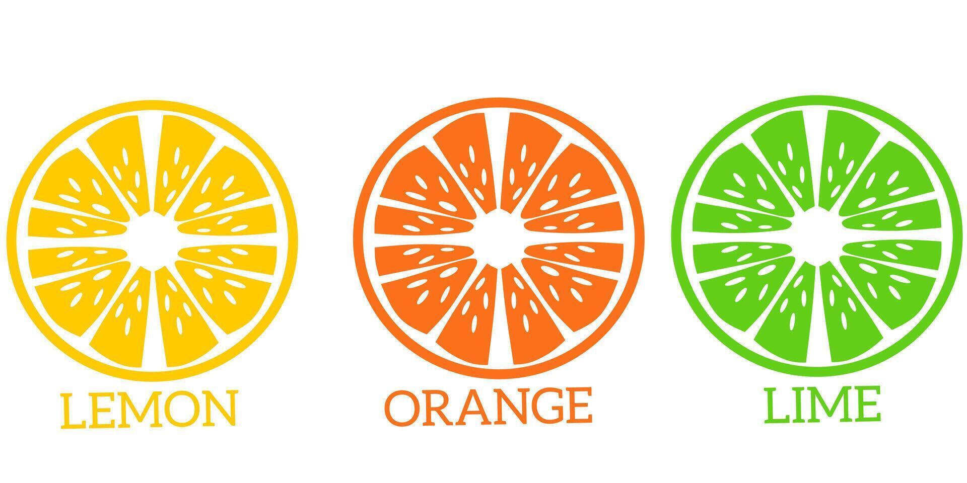 three different types of citrus fruit, including lemon, orange and lime vector