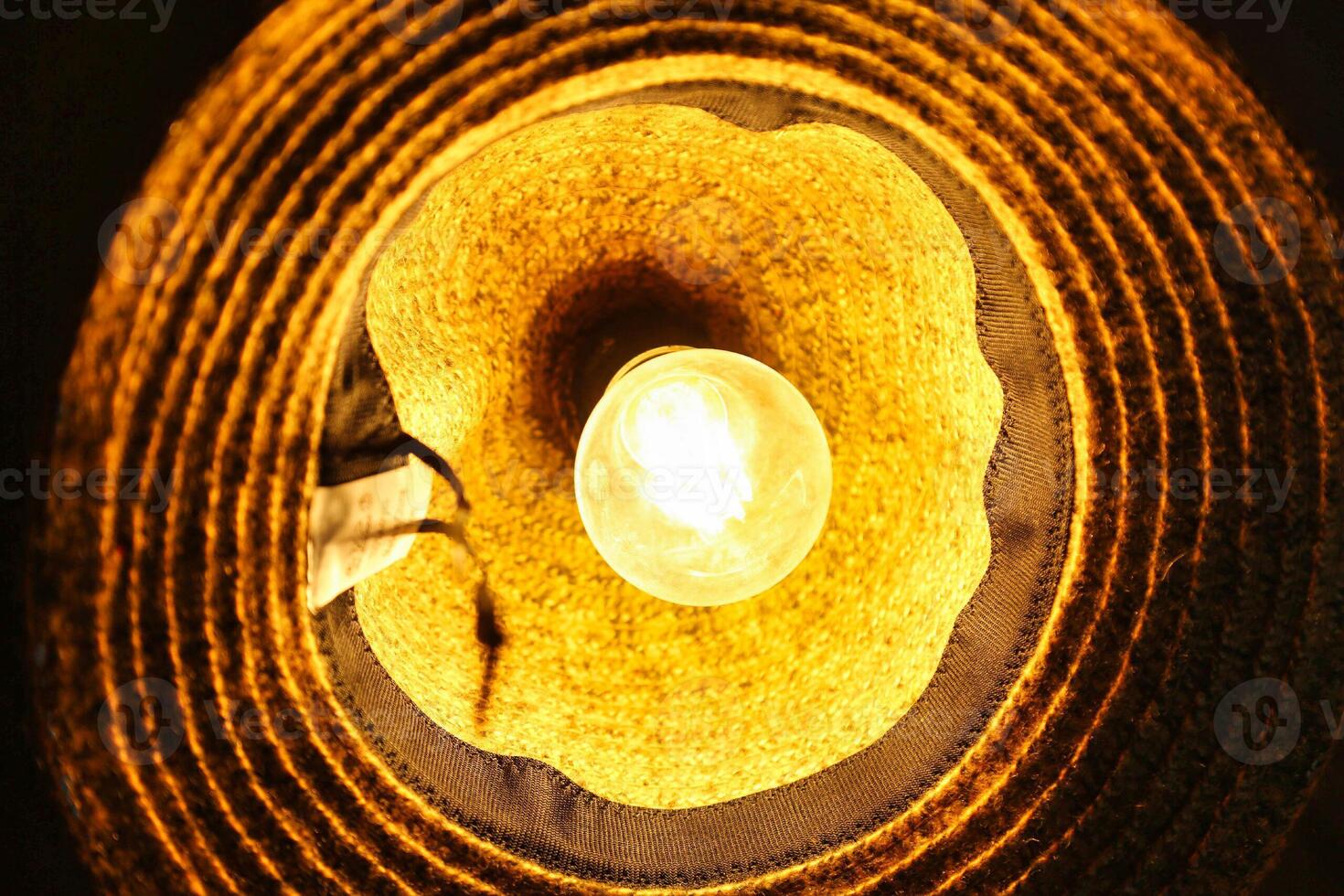 Circular Light Fixture With Bulb photo