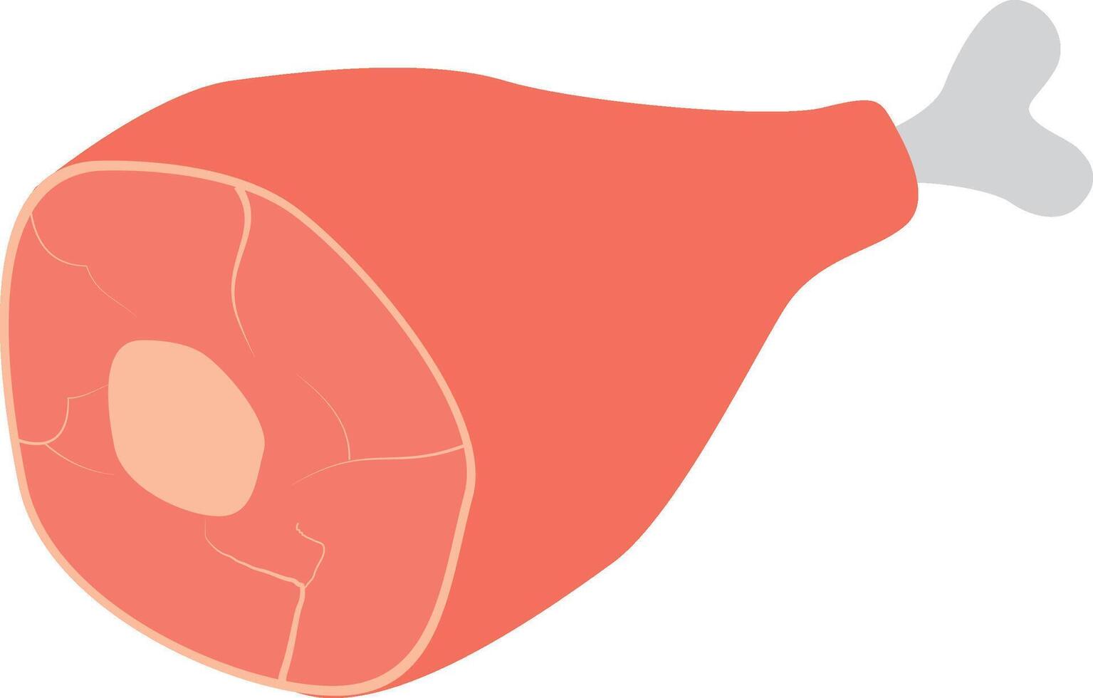 A whole raw pork knuckle with a bone. Fatty meat food. Pork ham. A food ingredient. vector
