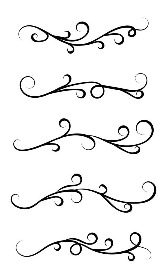 Set of scroll leaf branch ornaments in hand drawn style vector