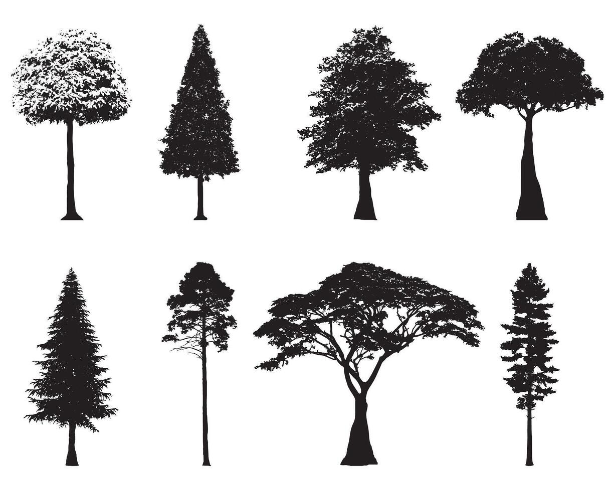 Collection of silhouettes different forest trees vector