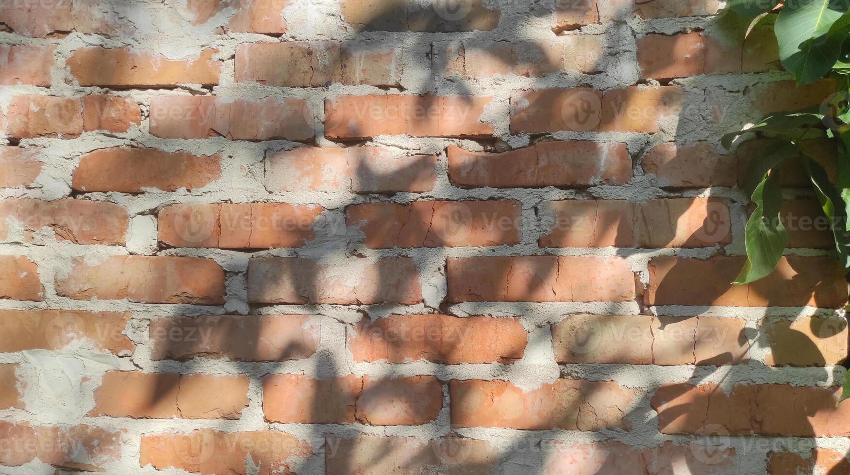 Brown old brick wall with shadow from leaves and rays of light, texture background for product presentation, architecture and modern design photo