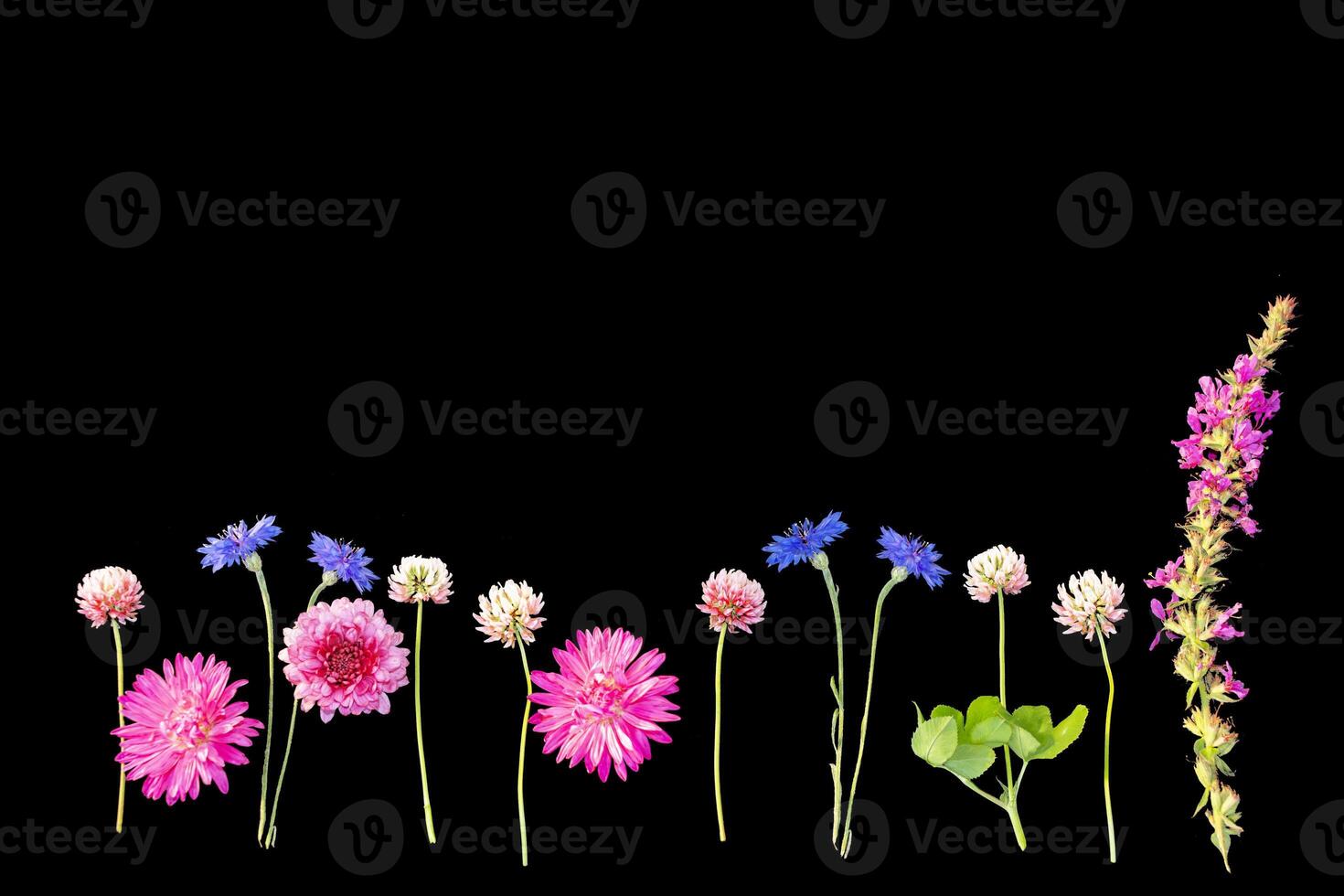 flower arrangement. summer wild flowers on black background. photo