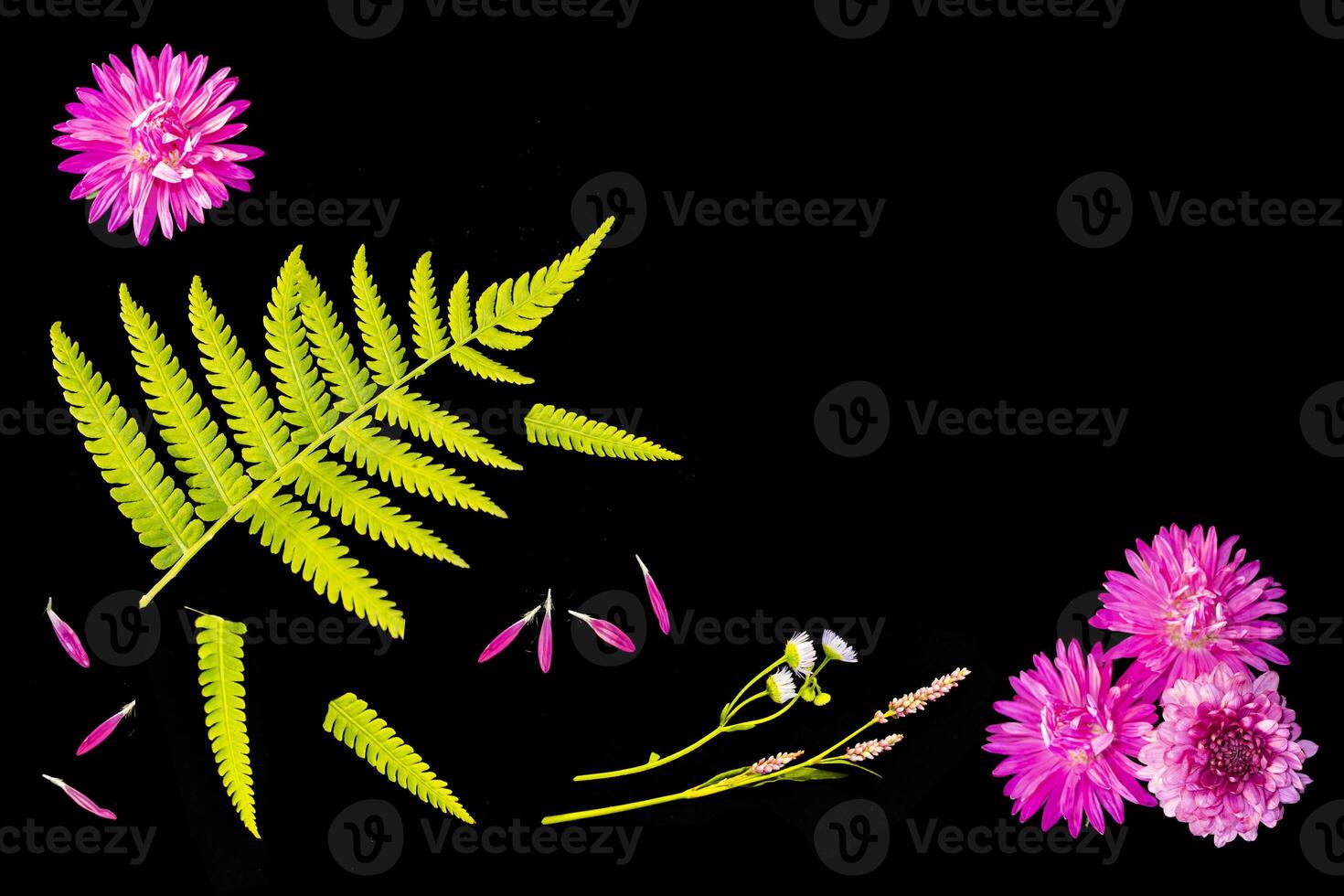 flower arrangement. Natural pattern. summer wild flowers on black background. photo