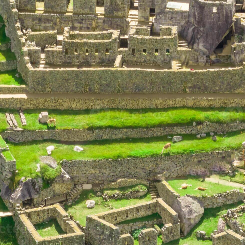 Machu Picchu, Peru. Aerial view. Square image. photo