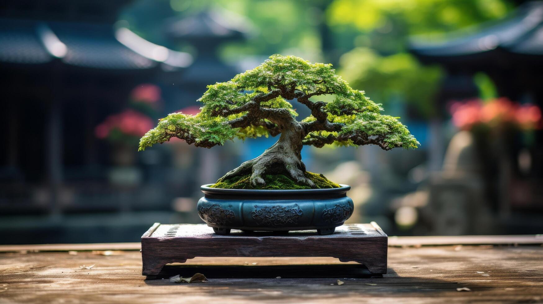 Creative backdrop for bonsai tree image photo