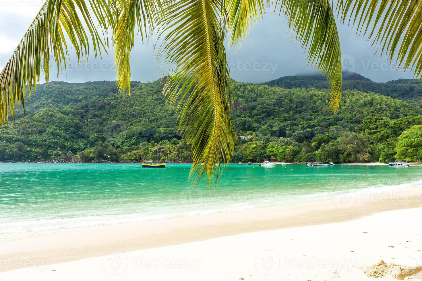Seychelles, Paradise beach. La Digue at Anse Lazio, Source d Argent. photo
