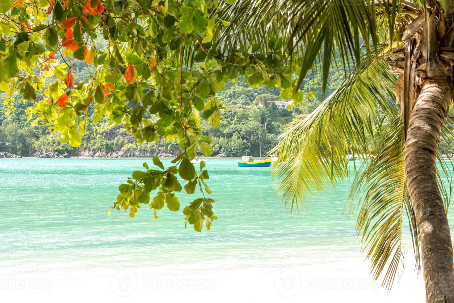 Seychelles, Paradise beach. La Digue at Anse Lazio, Source d Argent. photo