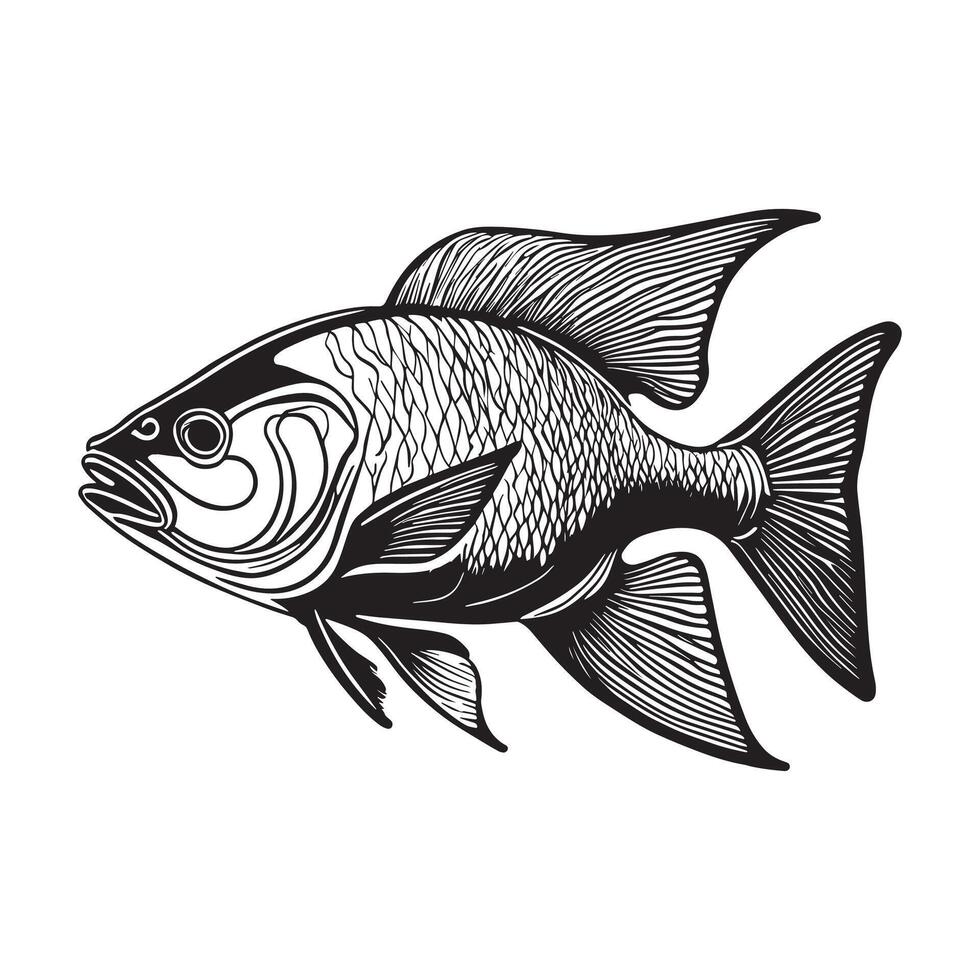 A fish drawing with a black and white line drawing vector