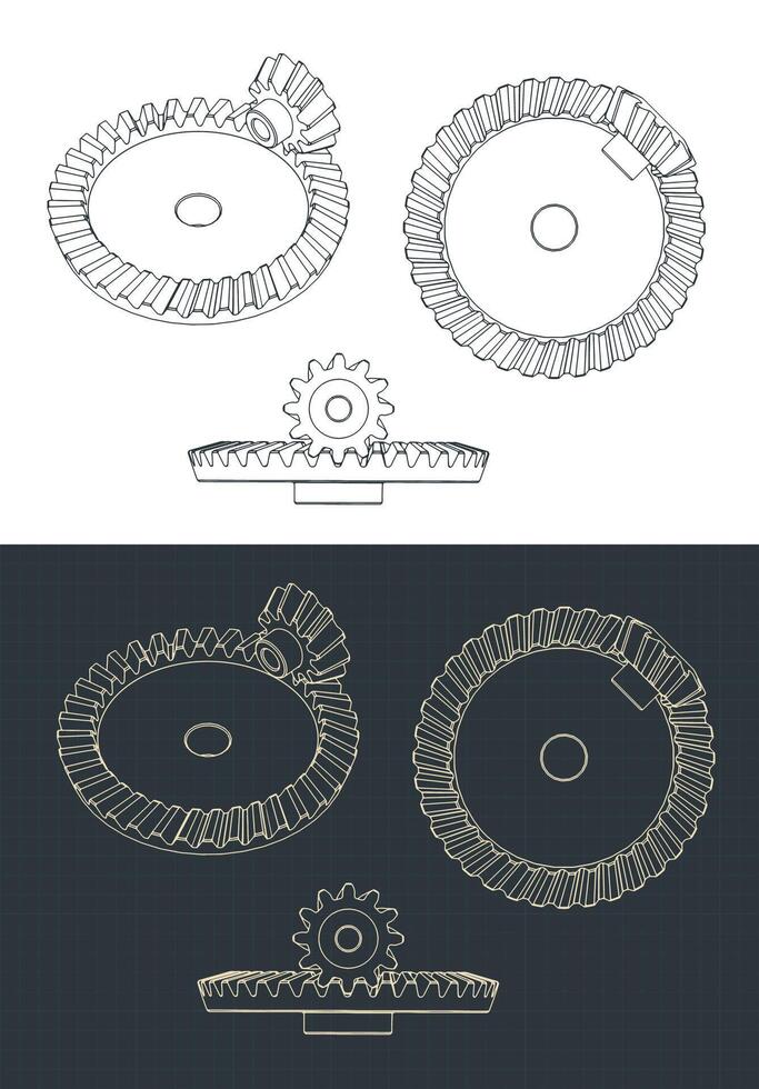 Helical bevel gear pair blueprints vector