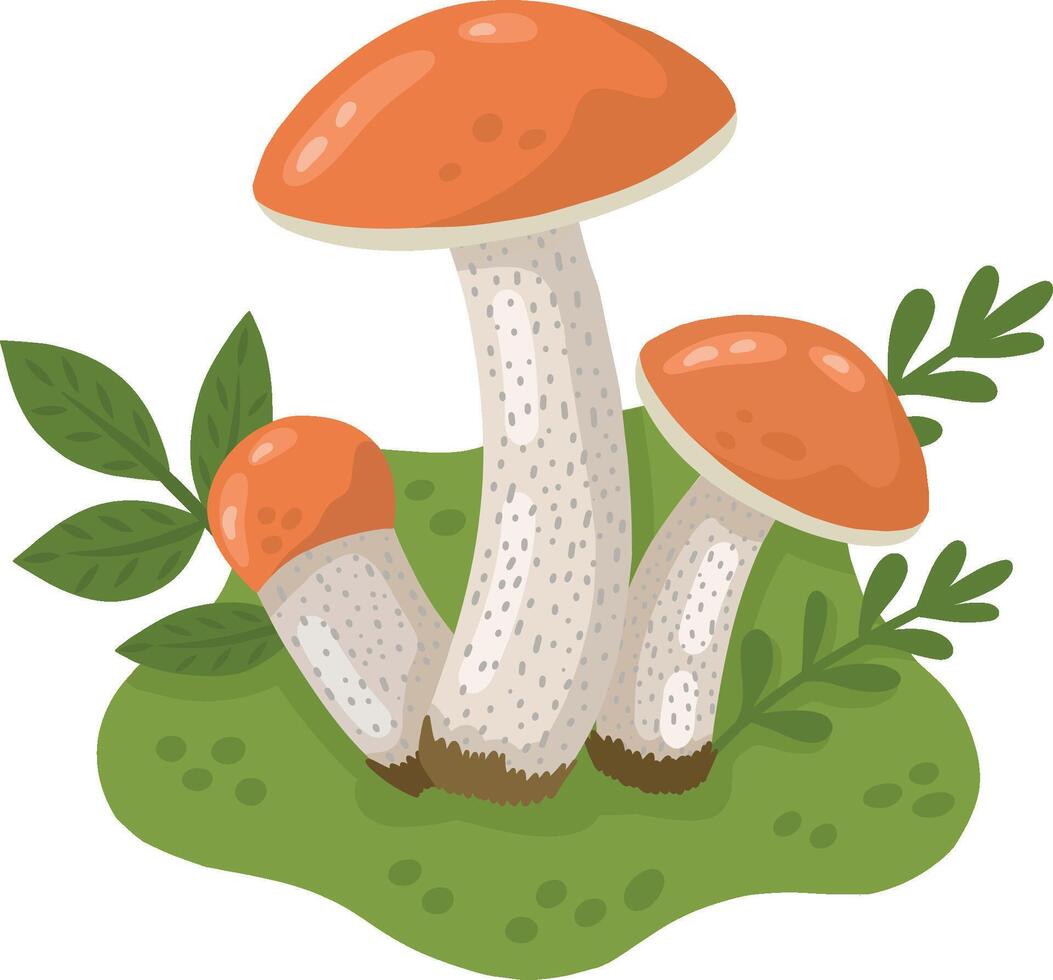 Porcini mushrooms in a forest clearing. A color image of wild mushrooms on a transparent background. Mushrooms. illustration for children's books and biology textbooks, menus. vector