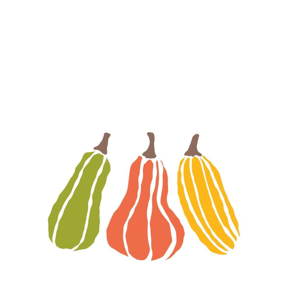 Trio of colorful squash varieties displayed against a white background during harvest season vector