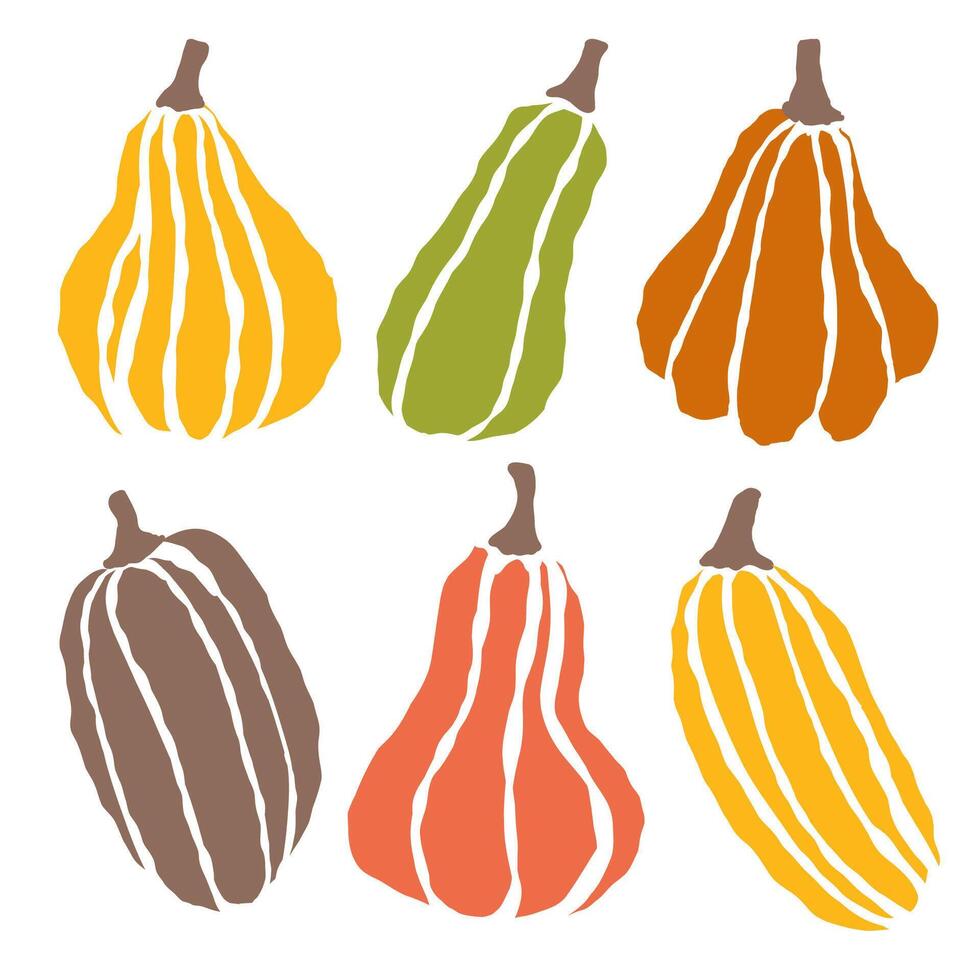 Colorful collection of decorative pumpkins displayed in a vibrant arrangement during autumn festivities vector