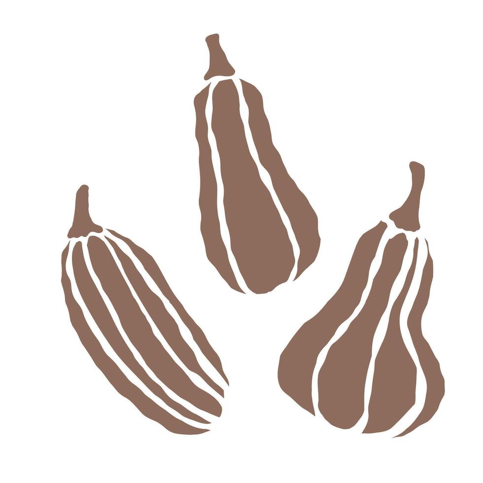 Trio of squash arranged stylishly against a plain backdrop for decoration vector