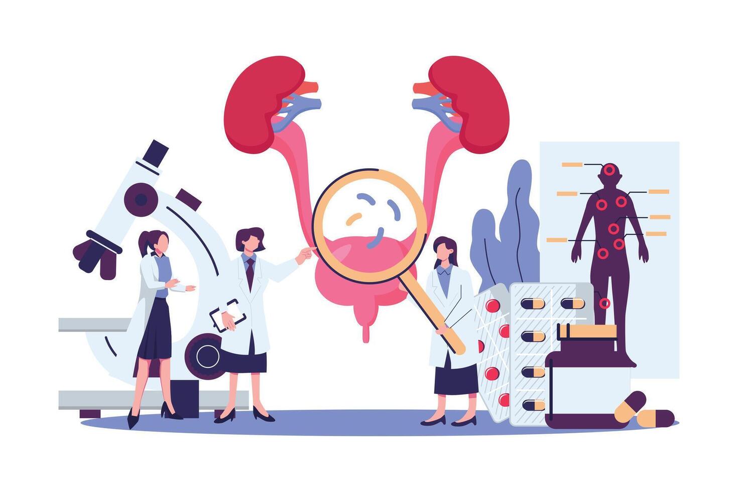 urology, Nephrology. Urinary Tract Infection, UTI Medical Concept. flat style illustration design vector