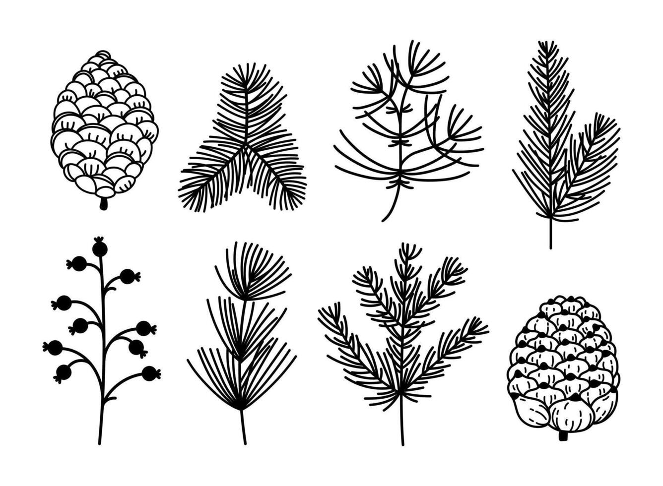 Christmas tree and plants set. Branch of spruce, pine, cedar, fir. Mistletoe with berries, cones, conifers. Winter twigs hand drawn. Black and white botanical sketch for cozy decorations, cards vector