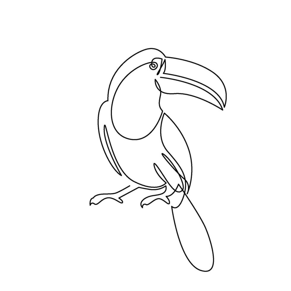 continuous mono line drawing of toucan bird vector