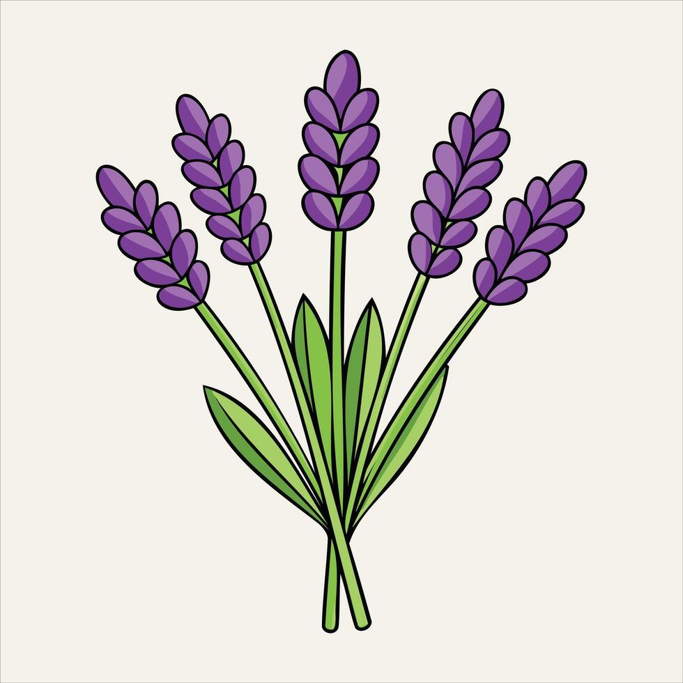 Lavender Flower Art vector