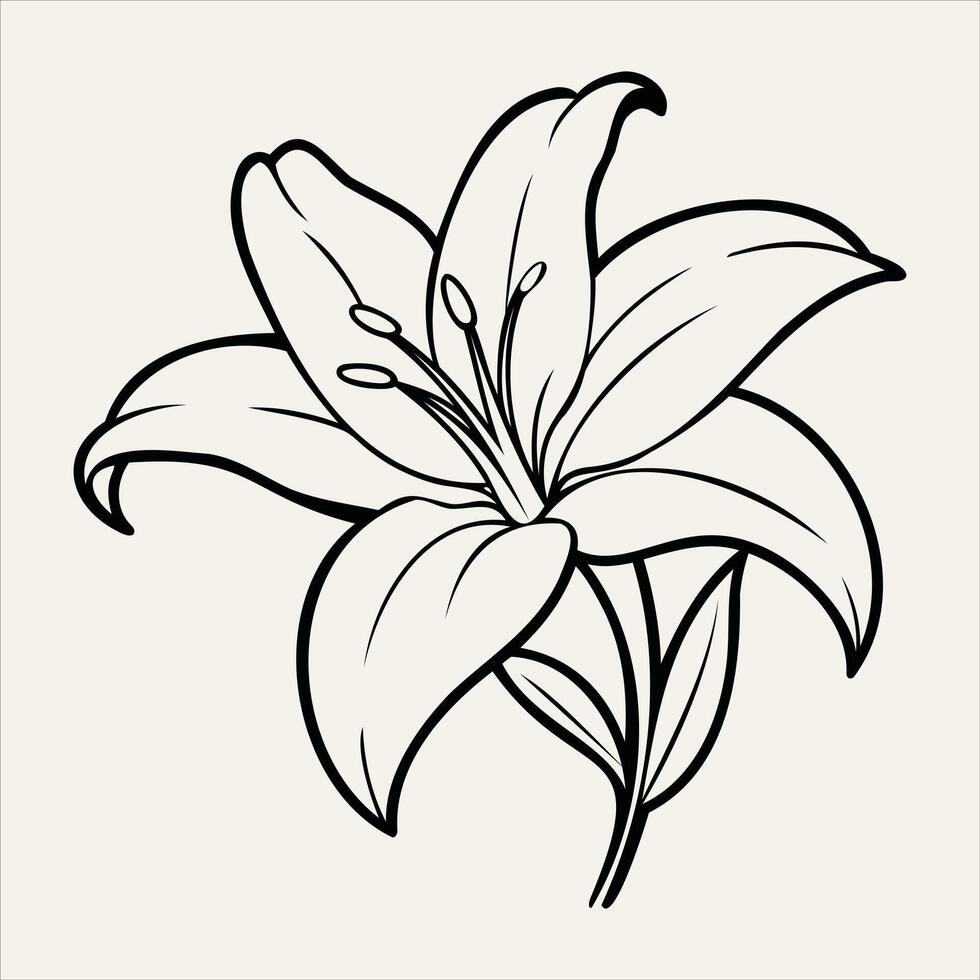 Lily Line Art llustration vector