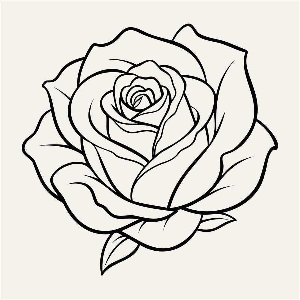 Rose Flower Line Art vector