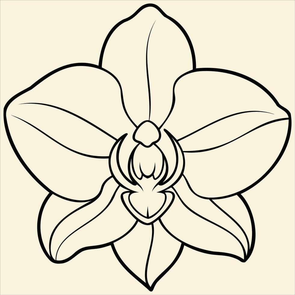 Lotus Flower CloseUp vector