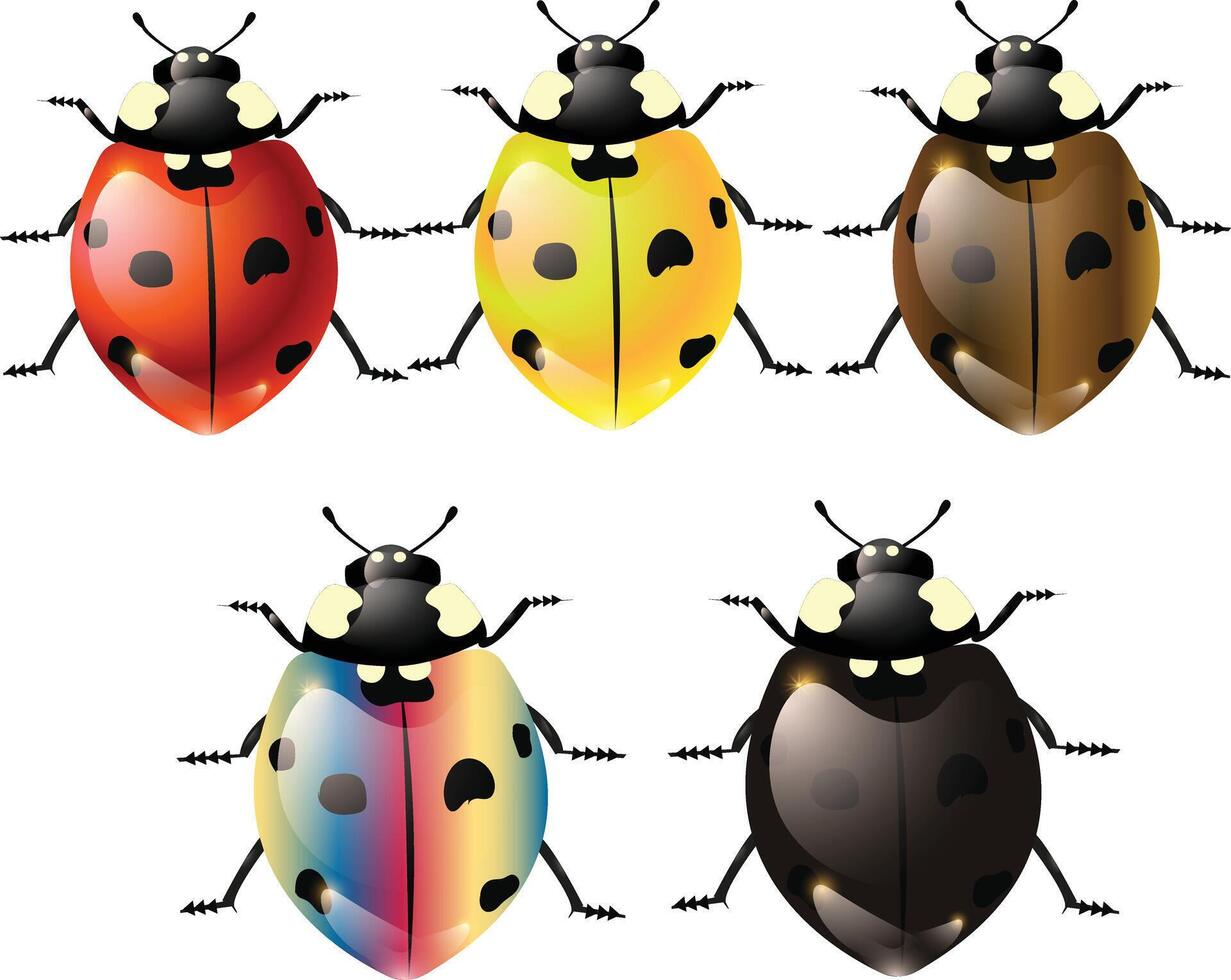 Colorful Bugs vectors