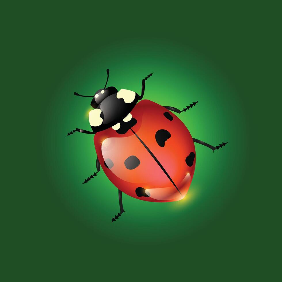 Lady Bug Illustration vector