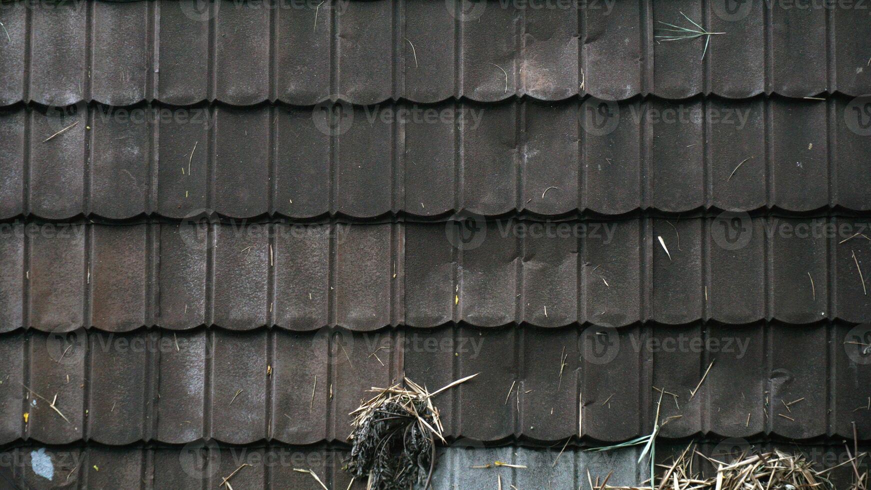 Roof tiles of a house in a rural area. photo