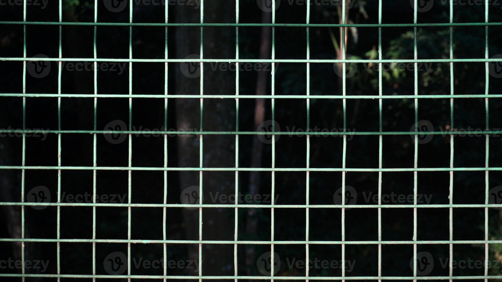 Green metal fence in the park. Abstract background with copy space. photo