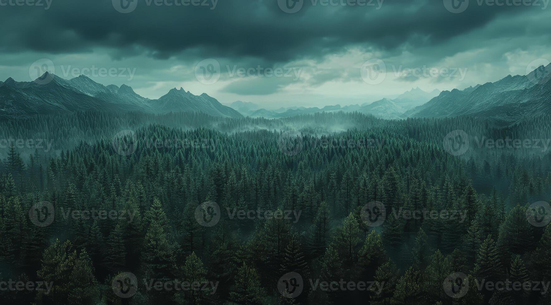 Top view of a dense green forest in nature, drone view of the reserve photo