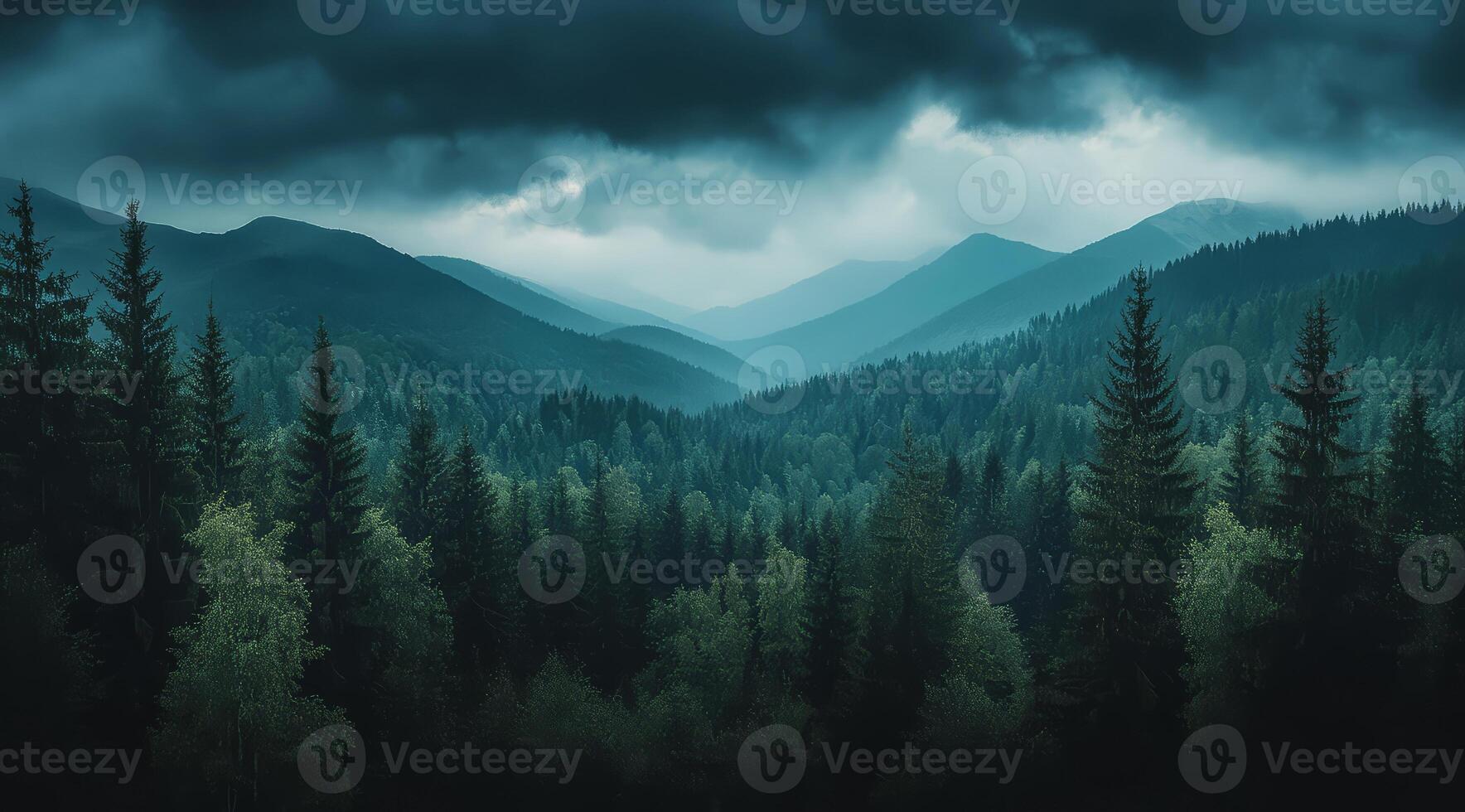 Top view of a dense green forest in nature, drone view of the reserve photo