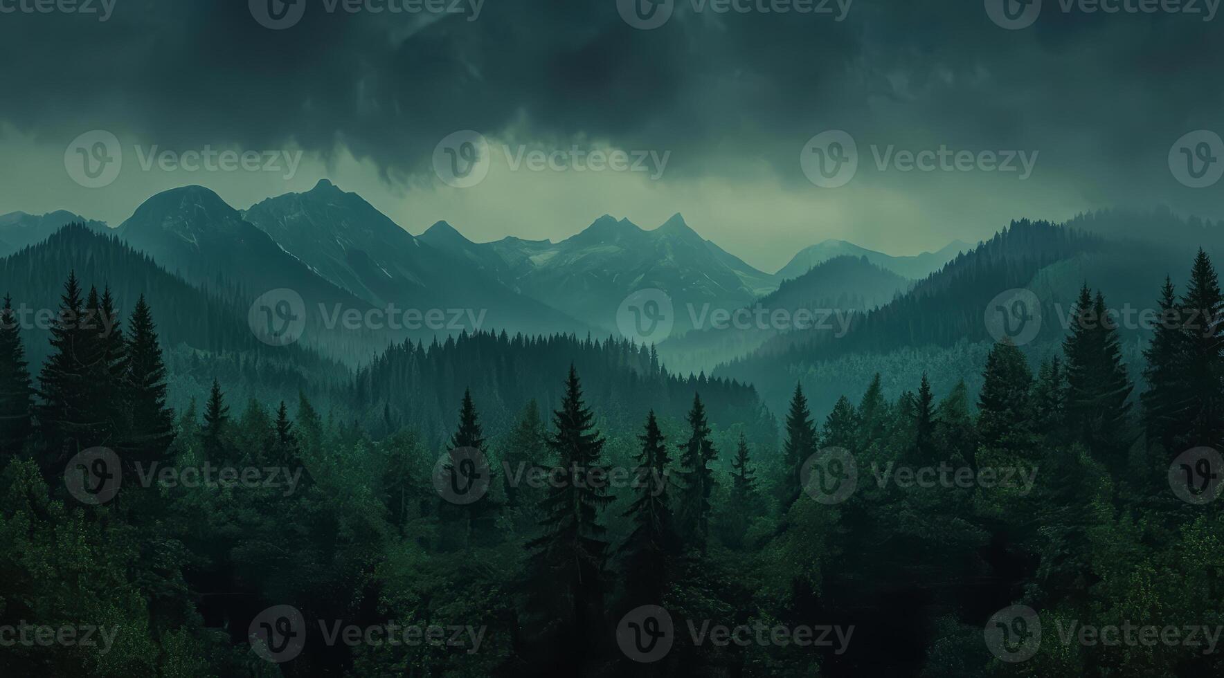 Top view of a dense green forest in nature, drone view of the reserve photo