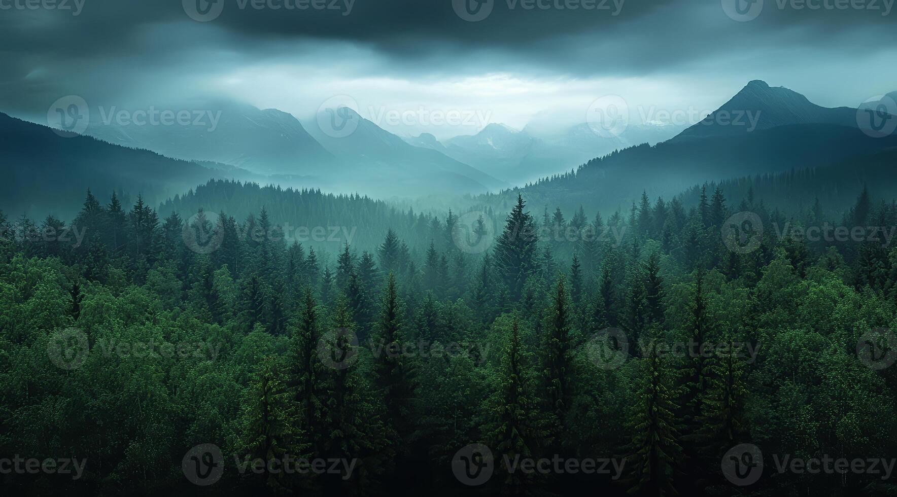 Top view of a dense green forest in nature, drone view of the reserve photo