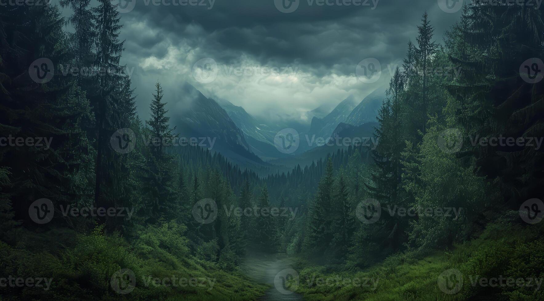 Top view of a dense green forest in nature, drone view of the reserve photo