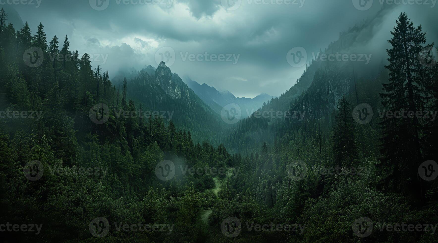 Top view of a dense green forest in nature, drone view of the reserve photo