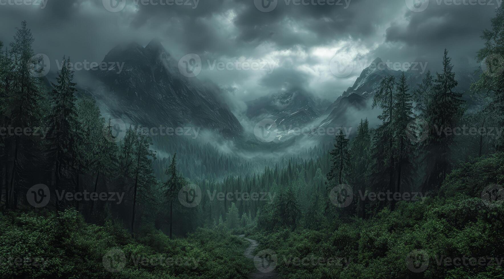 Top view of a dense green forest in nature, drone view of the reserve photo