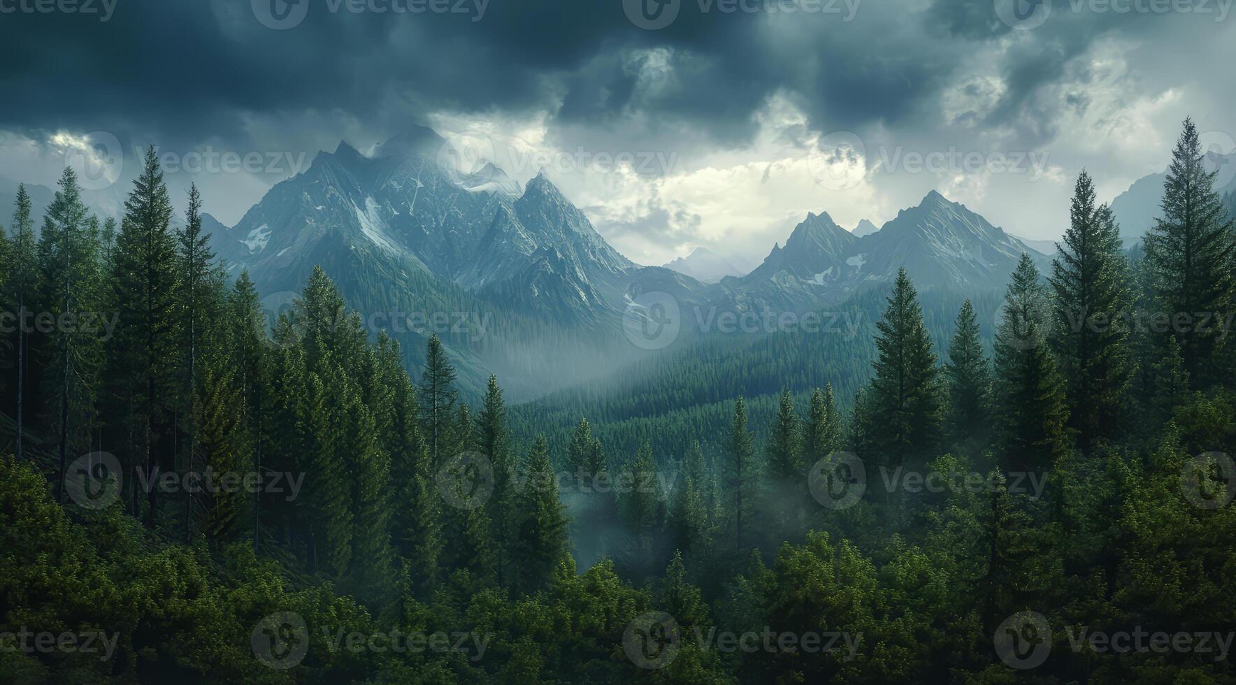 Top view of a dense green forest in nature, drone view of the reserve photo