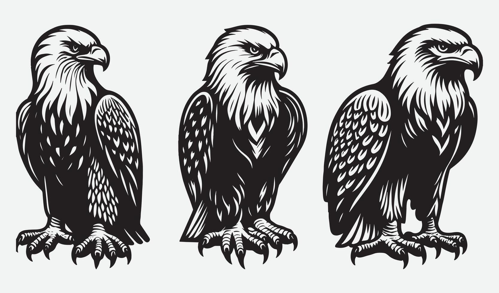 Dynamic Eagle Graphics for Eye-Catching Visuals vector