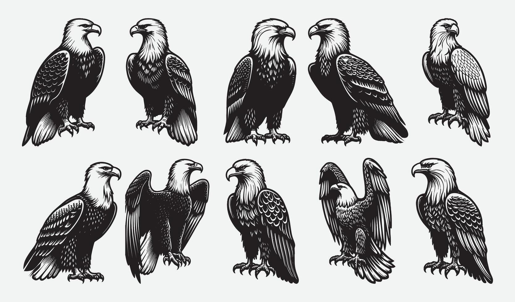 Dynamic Eagle Silhouettes for Creative Marketing Materials vector