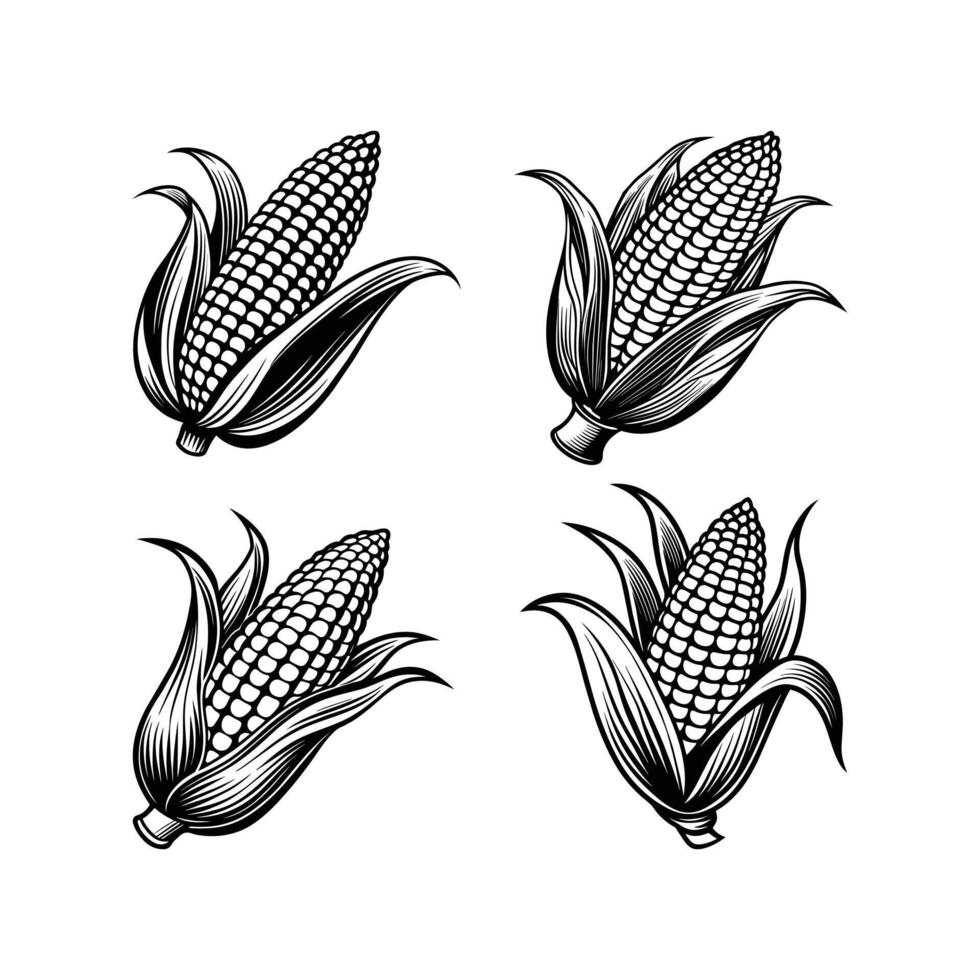 Maize Corn Silhouette Icon Illustration vector