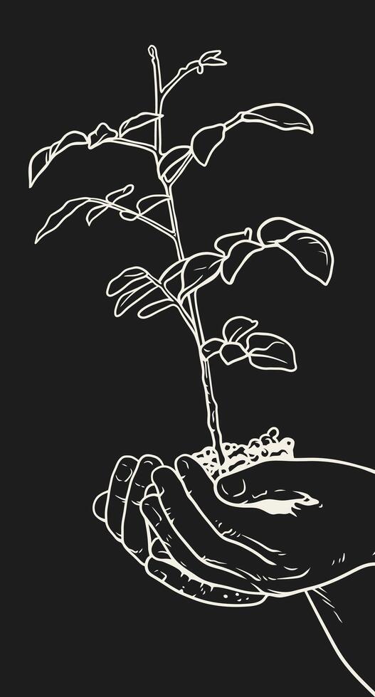 Hands gently hold a small plant, its green leaves fresh and branches fragile, symbolizing growth, agriculture, or the conservation of the environment vector