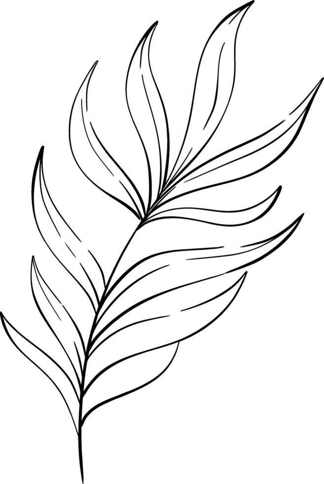 tropical palm leaf, summer botanic. Isolated. Decorative beauty elegant illustration for design, compositions. Black silhouette for circuit vector