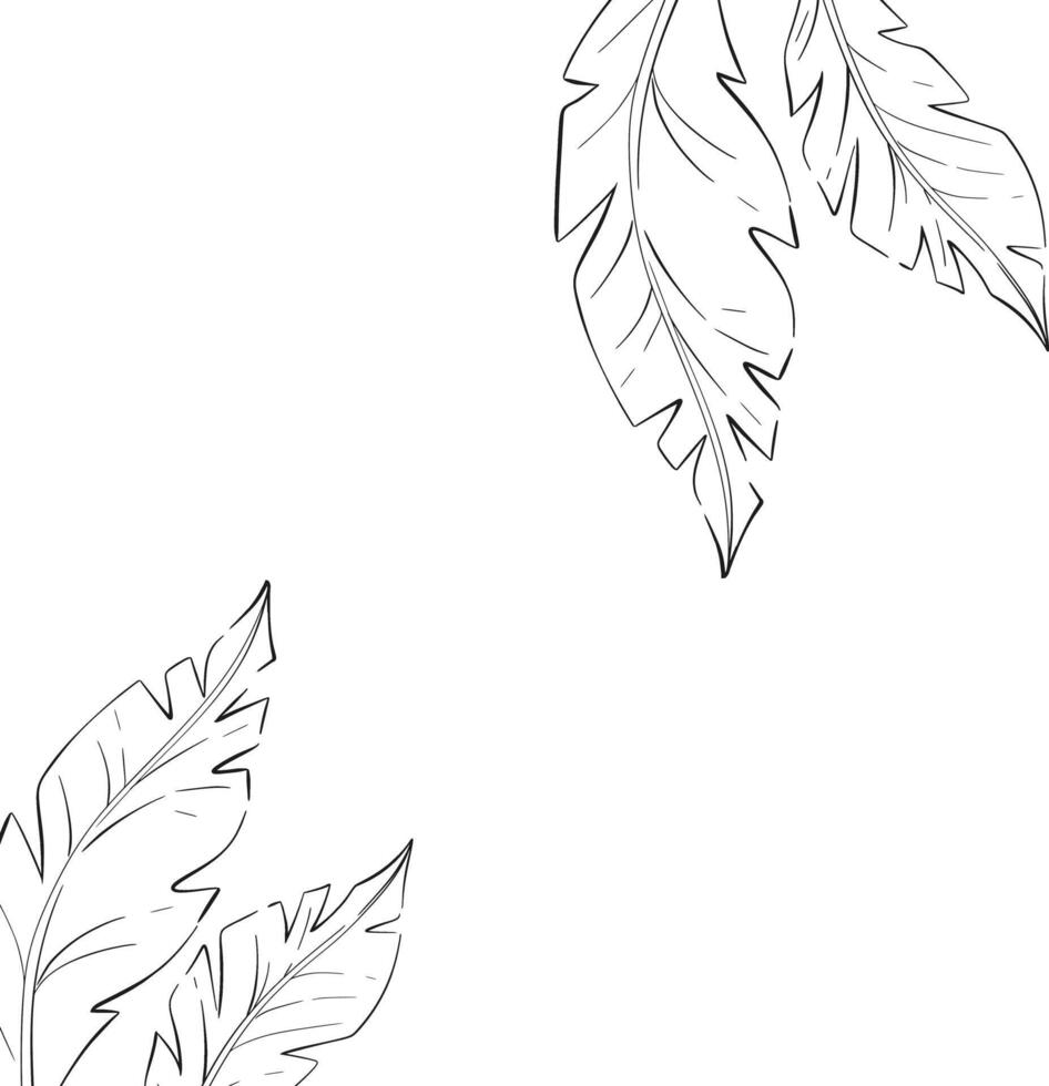 tropical banana leaves frame, template, summer botanical set. Decorative beauty elegant illustration for design. Black silhouette for circuit vector