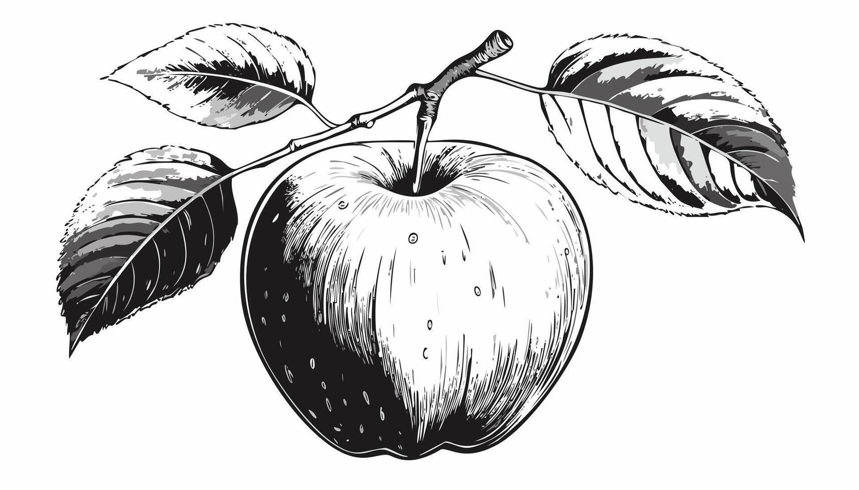 Apple Fruit Sketch - Leaf Food Doodle Organic Health vector