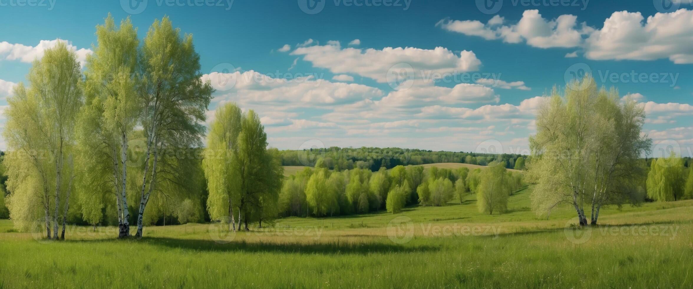 Beautiful panoramic landscape Natural summer spring scenery with a green field, blue sky, birch trees and open space. photo